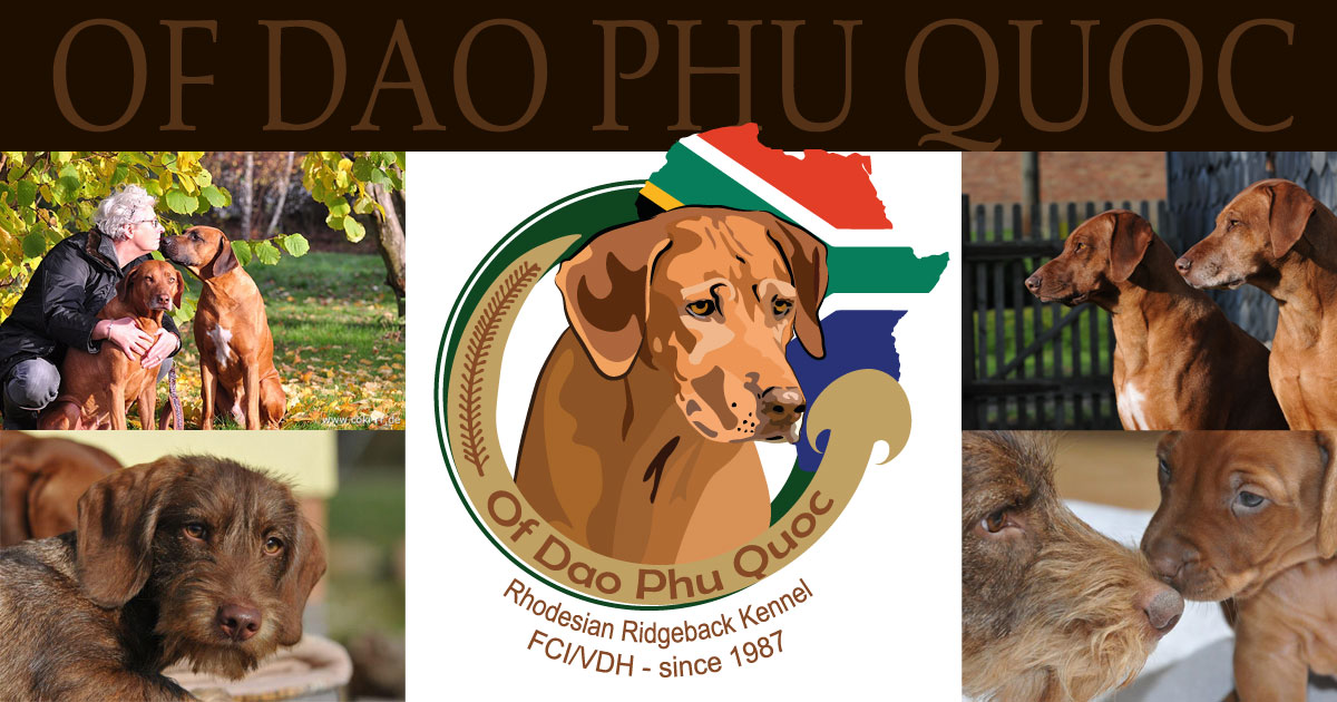 Copyright Ridgeback-stracke.de (c) Ridgeback-stracke.de